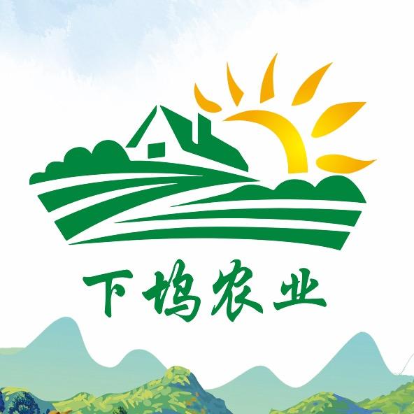 下坞农业