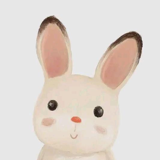 战术兔子