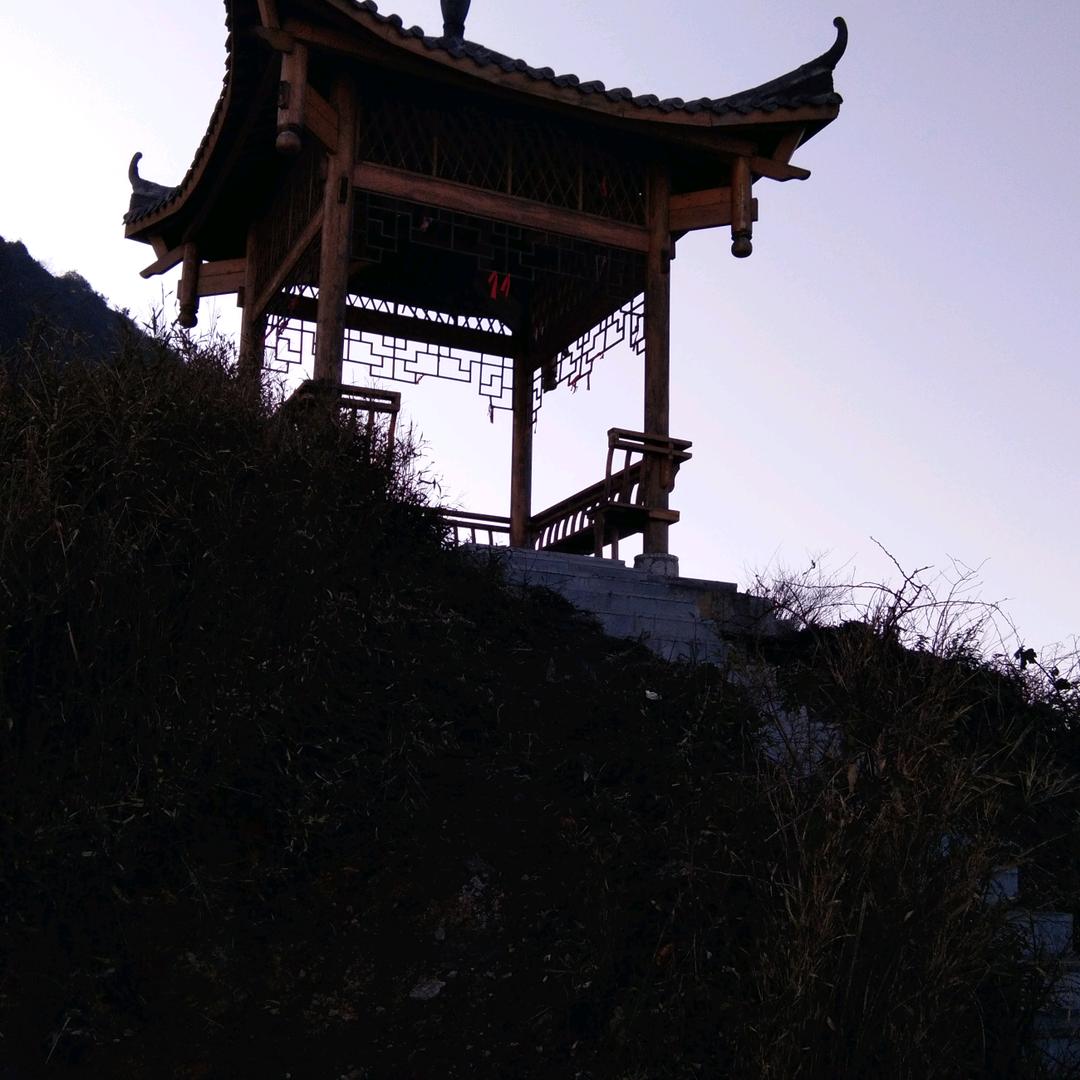 云中飞龙