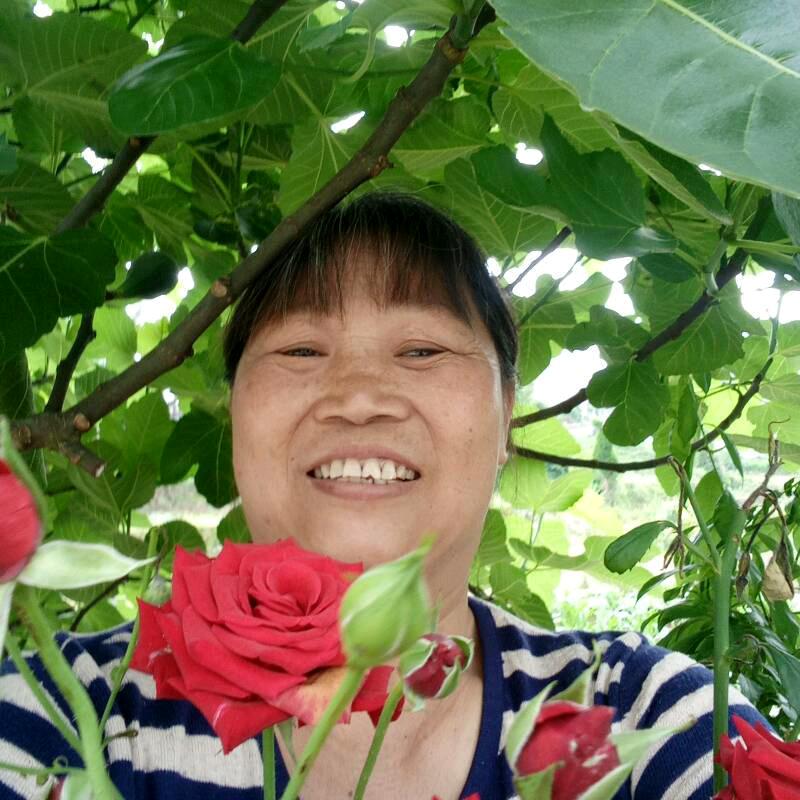每天开心