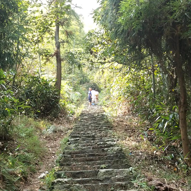 我对你不仅仅是喜欢