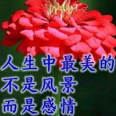 明天会更好😊
