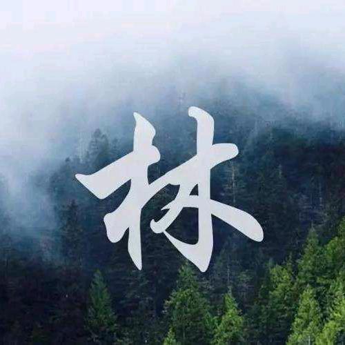 林氏家族文化传承