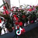 木晹（好物推荐）