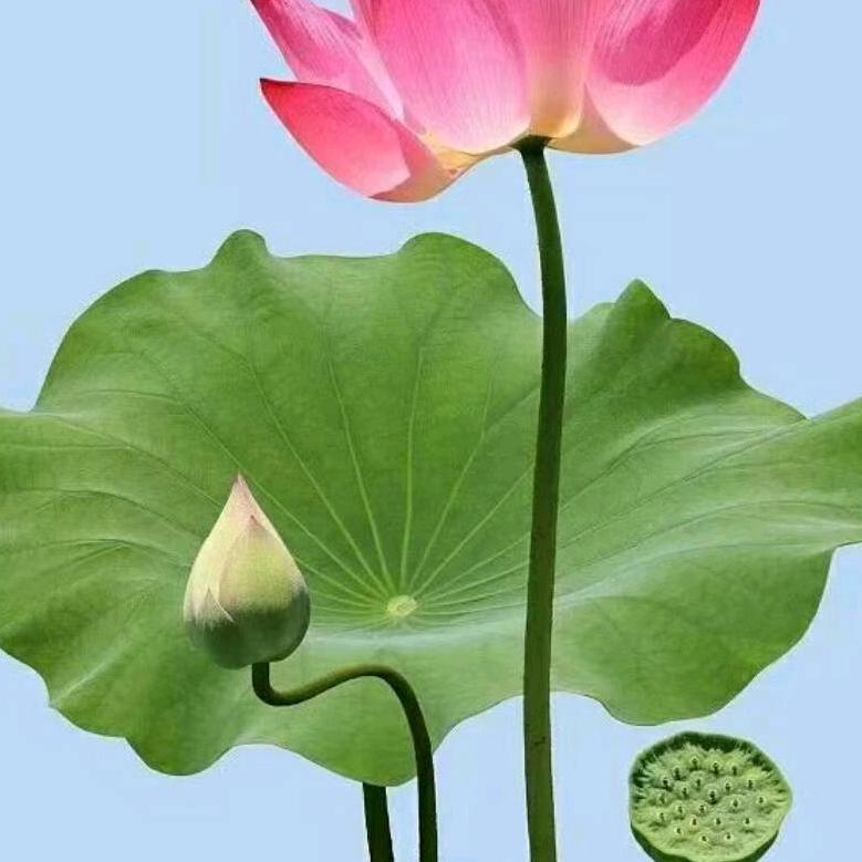 壹马平川。，，