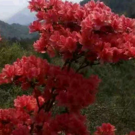 永恒