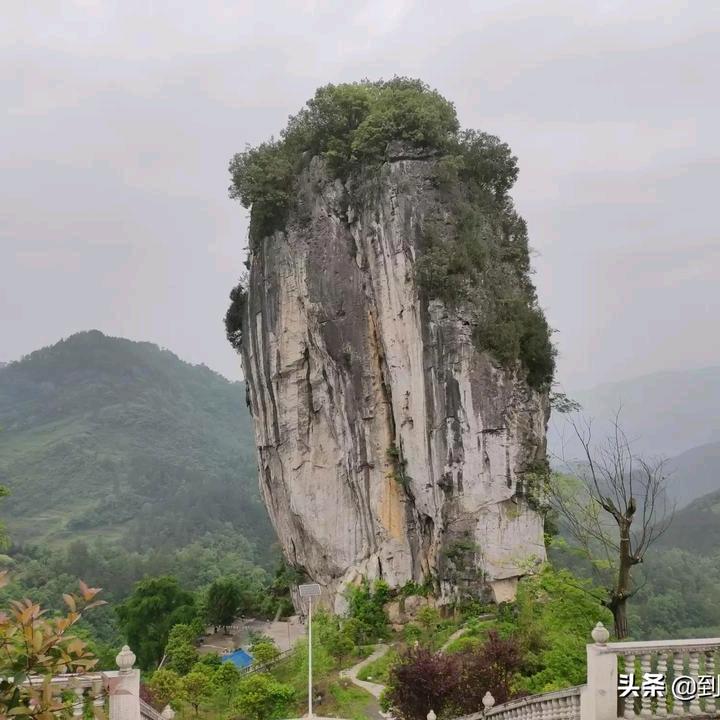 随缘