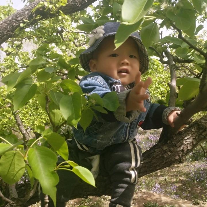 小伟回收门窗
