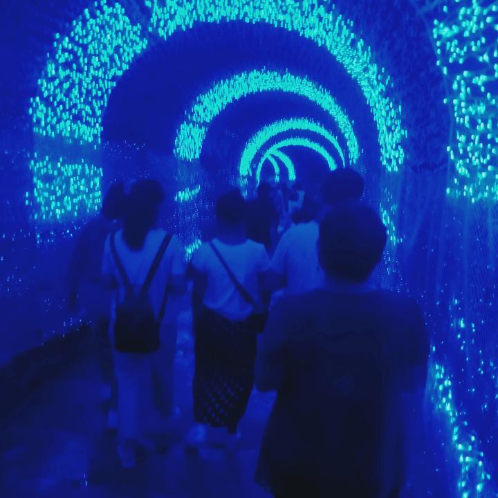 王林俊：本团鼓号队演出，有狮子滚秀球，