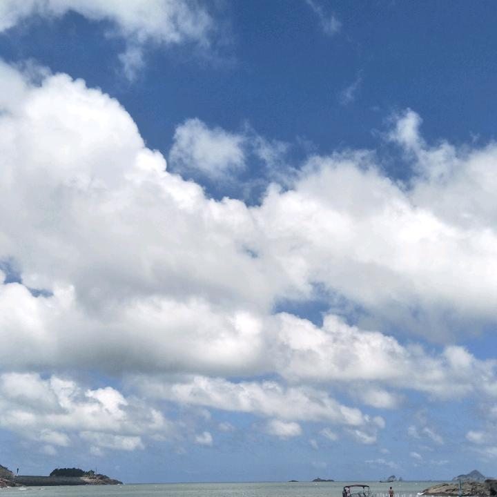 挖机小叶