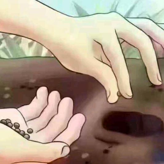 我心依旧