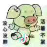 阿飞237949238