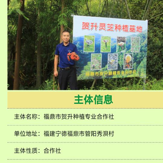 福鼎市贺升种植专业合作社