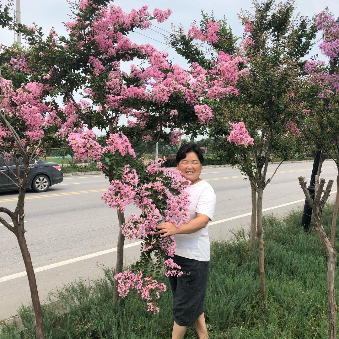 会飞的歌