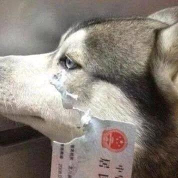 深情哥