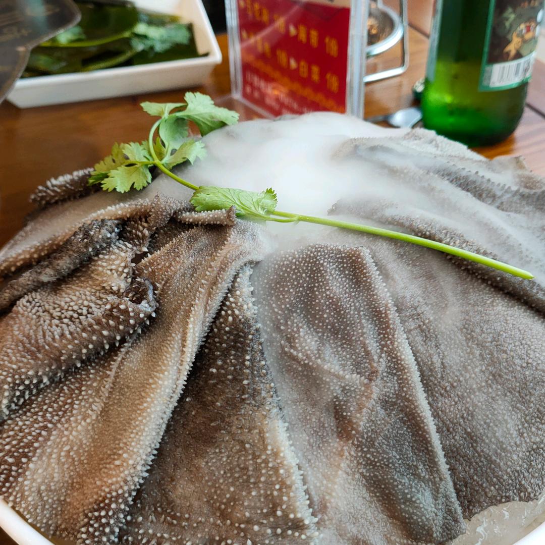 输过，败过，但从未怕过^O^