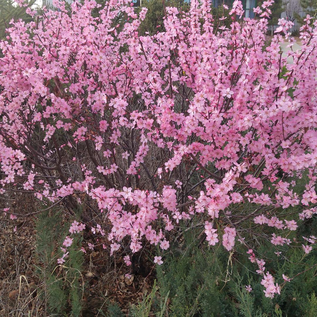 ໑ຼₒ₂₃ღ᭄樊事有李꧔ꦿ᭄💞