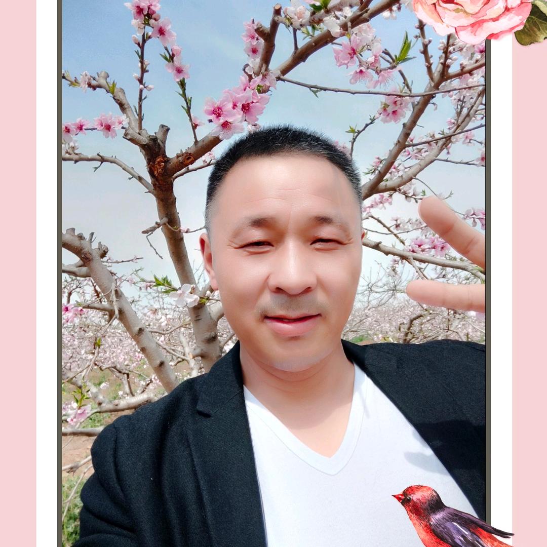 人生豪迈lzq3949596688