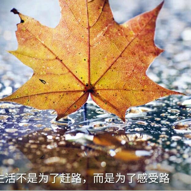 人生没有对错只有错过
