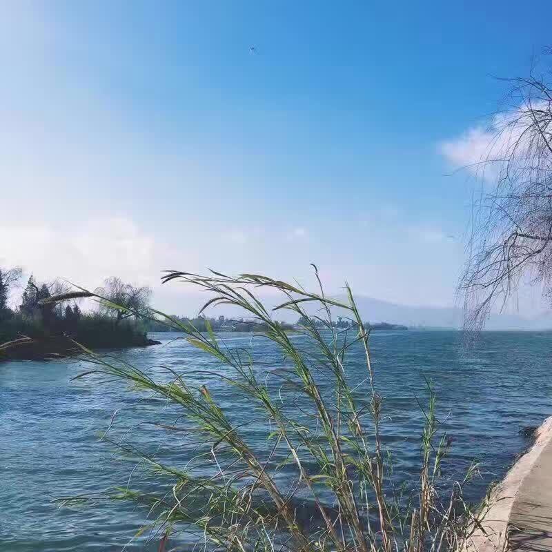 平淡生活