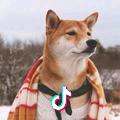 一北ヾ