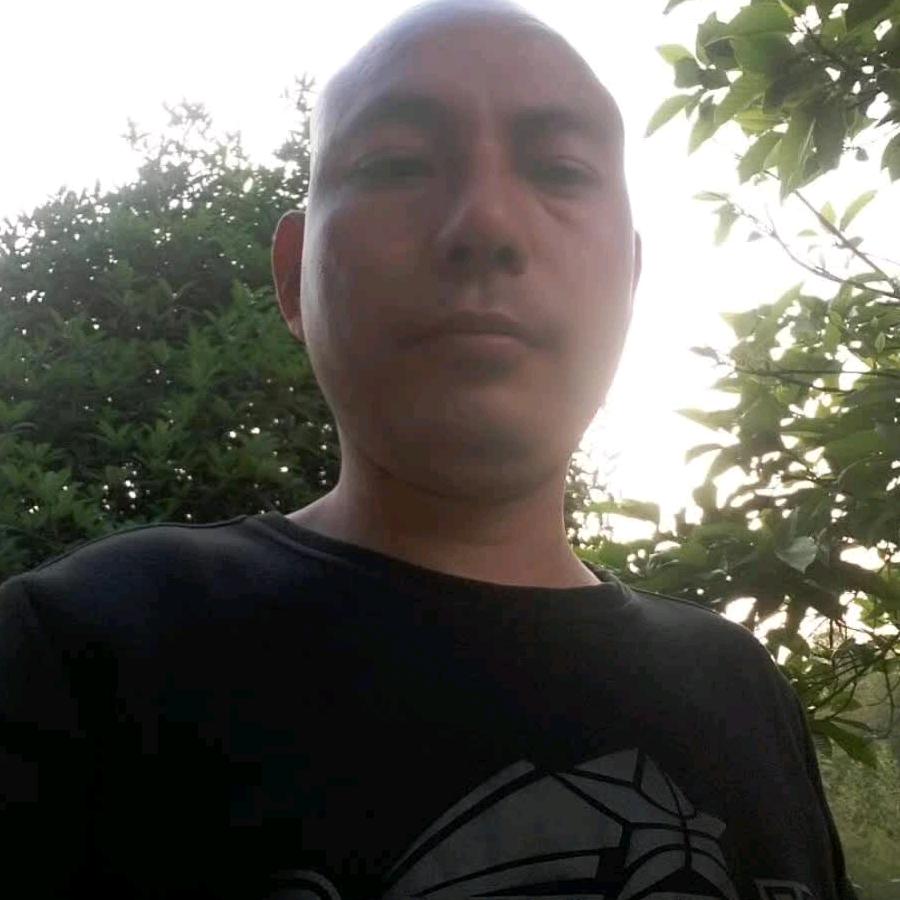再会的     你