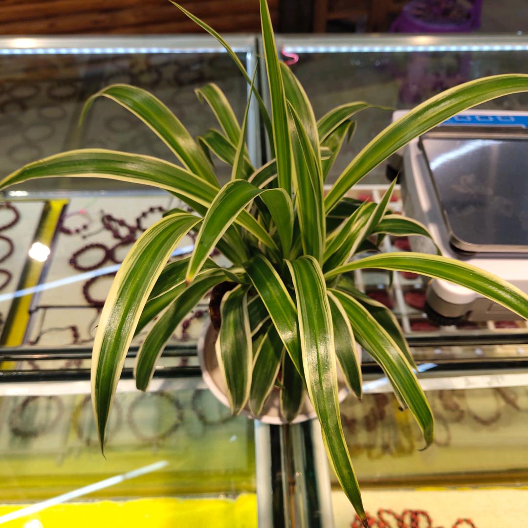 啊&英♛拒绝私聊