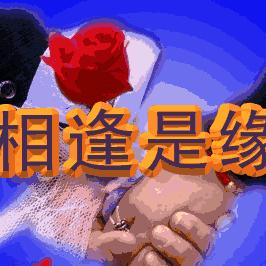 相逢是缘