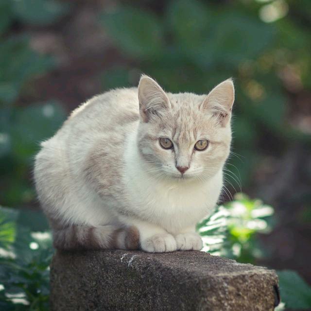 梅子🍀
