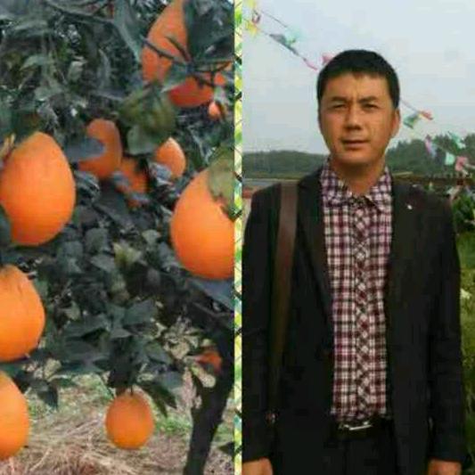 眉山，丹棱，水果代办，
