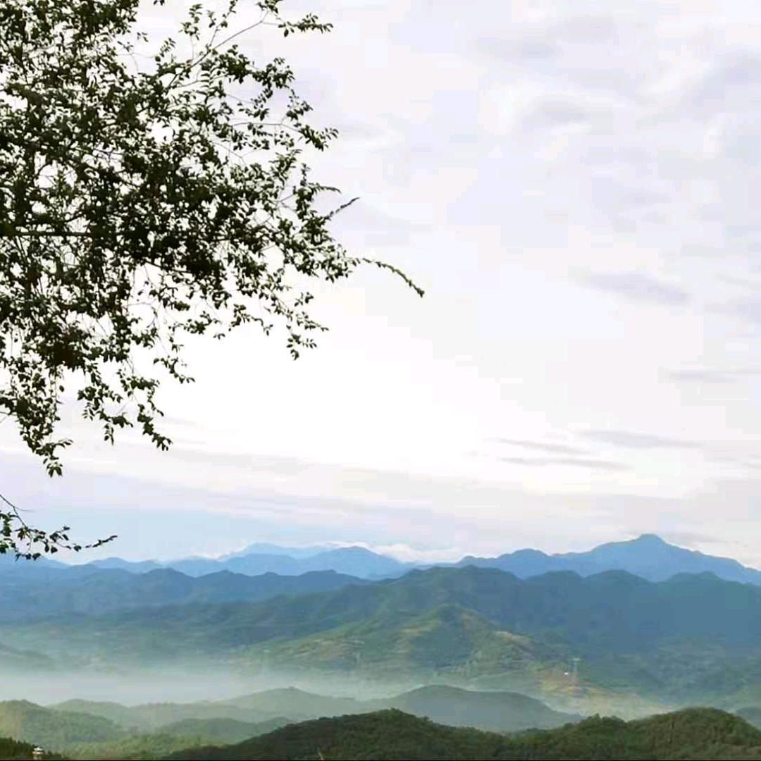一生有你