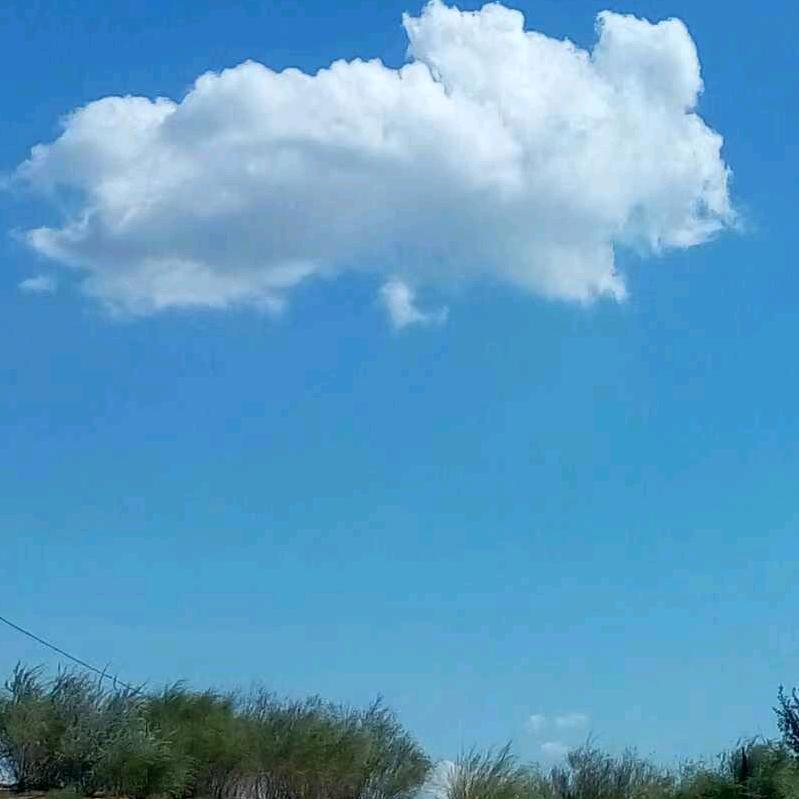 飞翔辽阔天空
