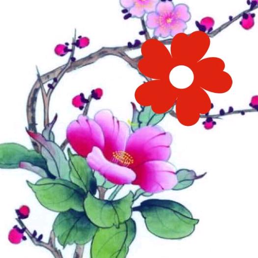 梦妍