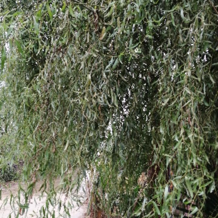 陪你闯天涯