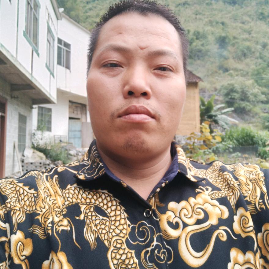 真情没遇到真心的