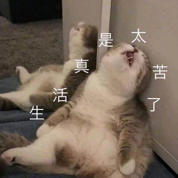 亲亲我的小jio丫