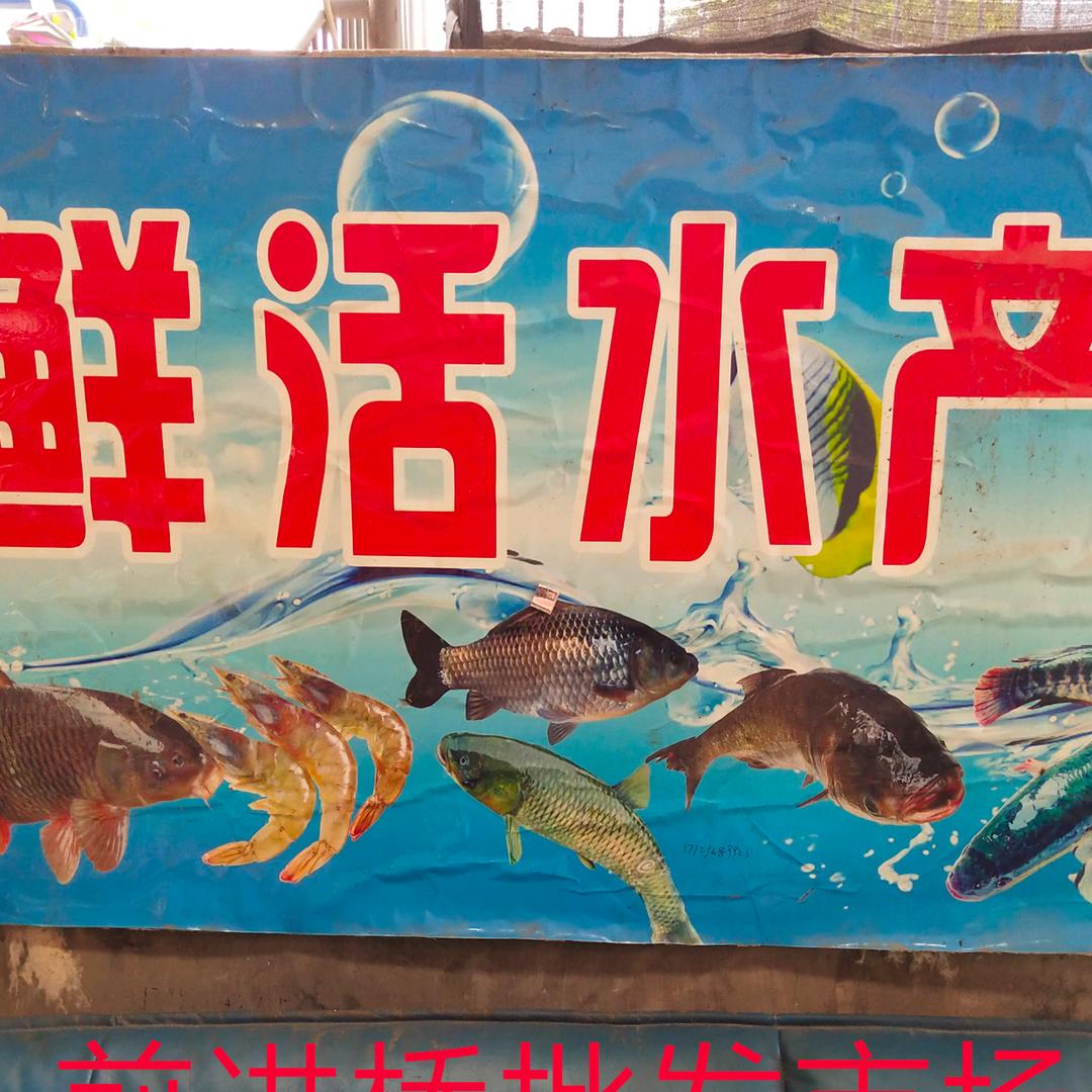 亮哥鲜鱼批发