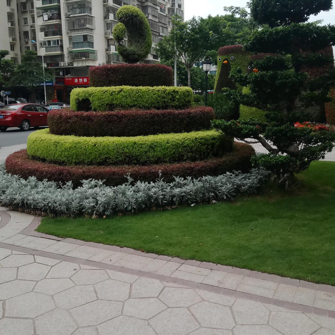 三哥