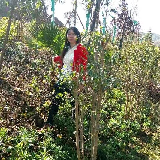 用户9567334851846花好月圆
