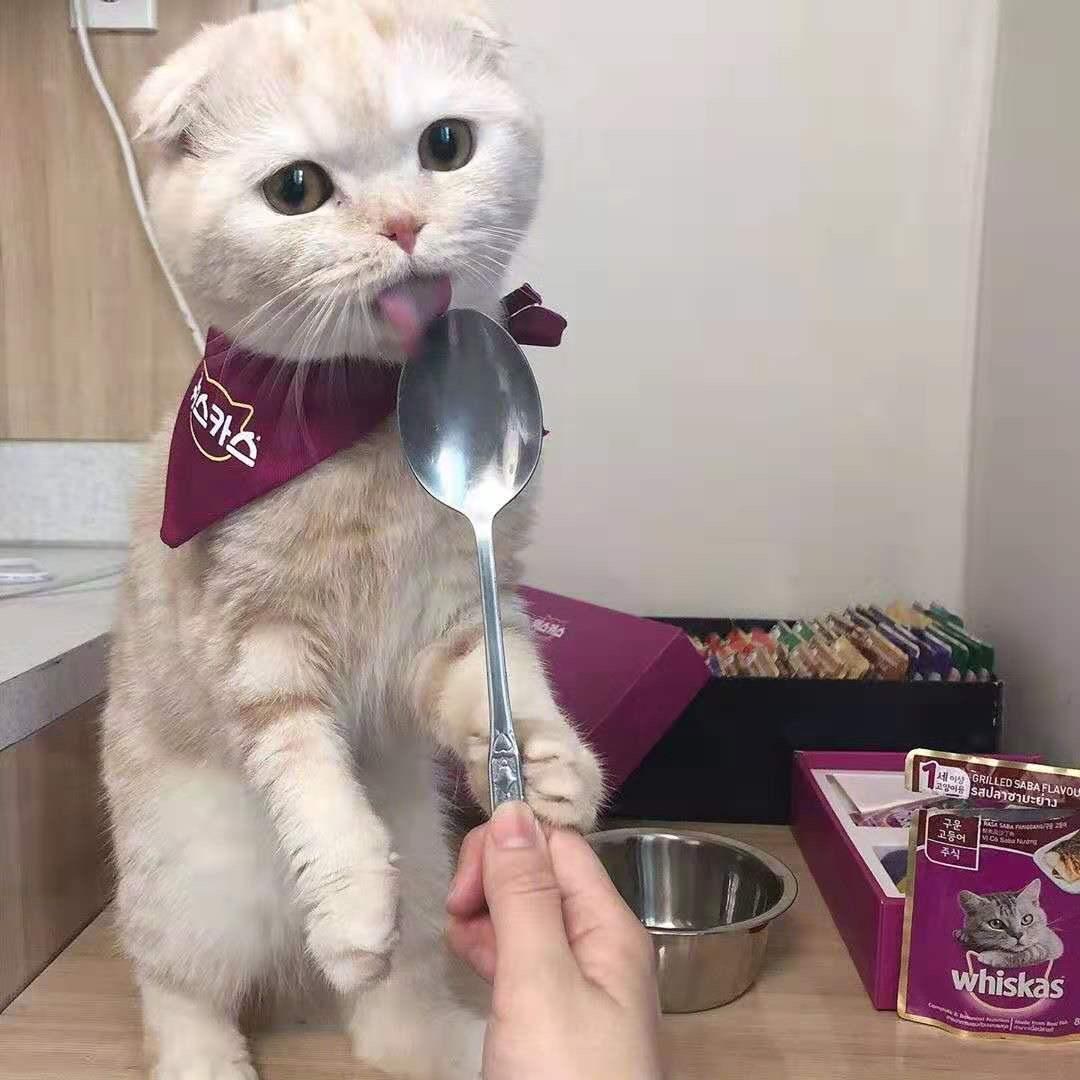 咩咩。