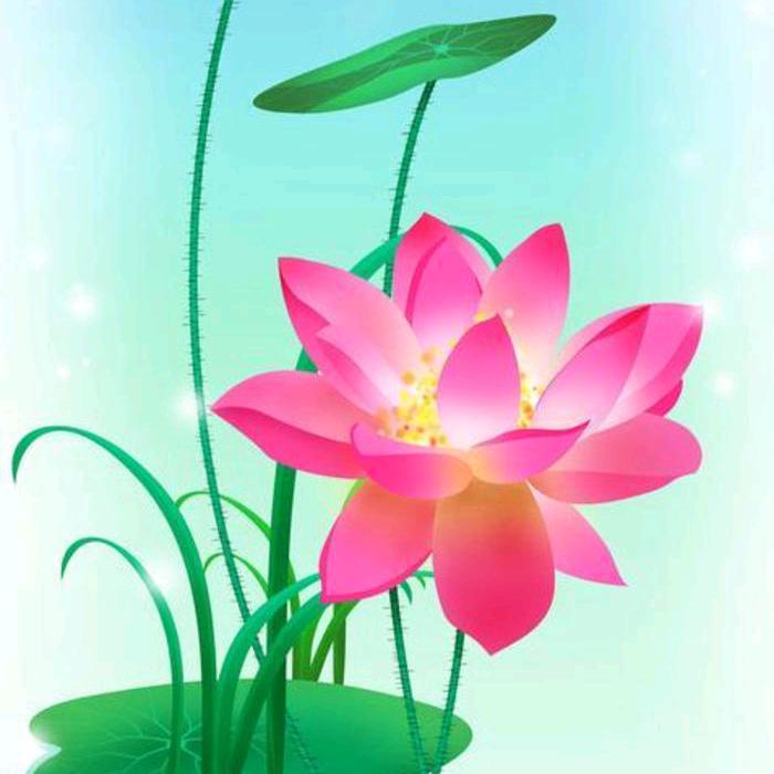 🌹🌸🍃静🌸🌹🍃（纯属娱乐