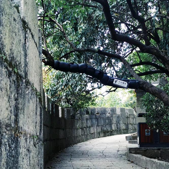 风抖
