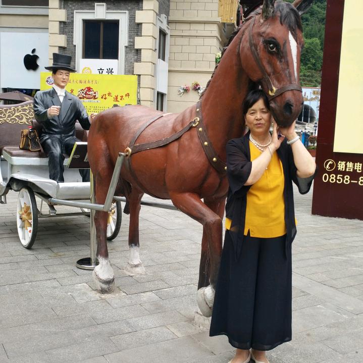 何四姐（首播）