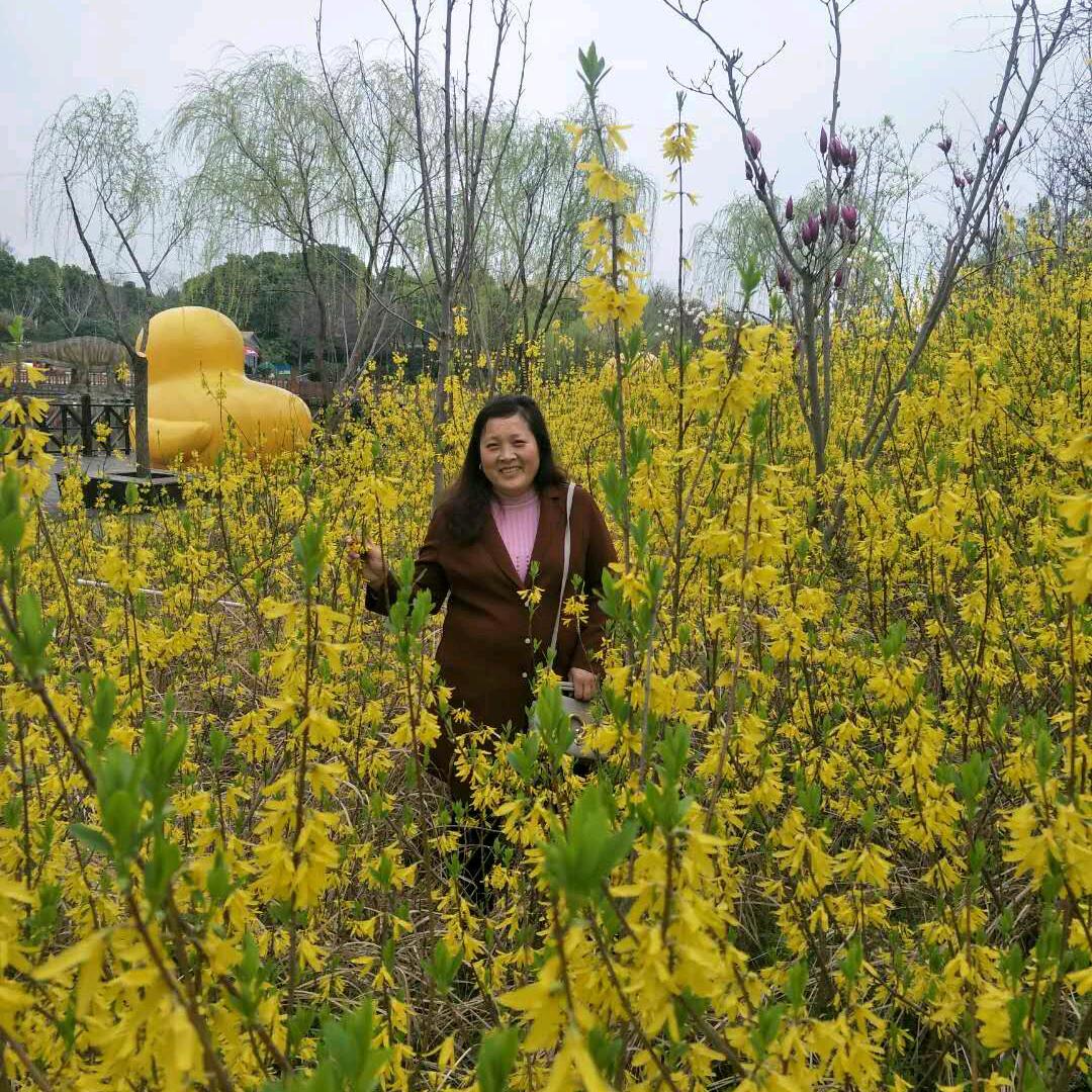 汤姐б