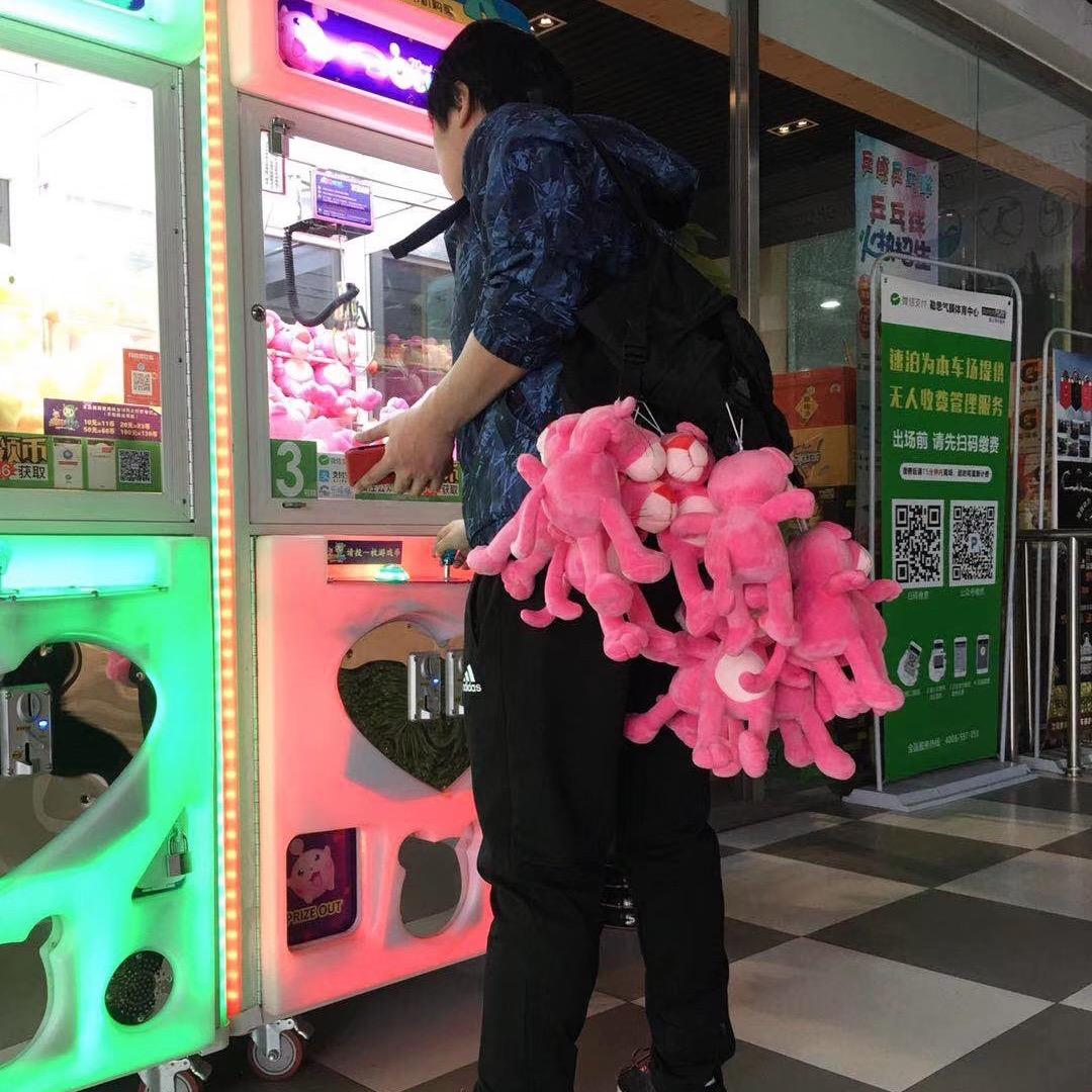 豌豆子并不能吃