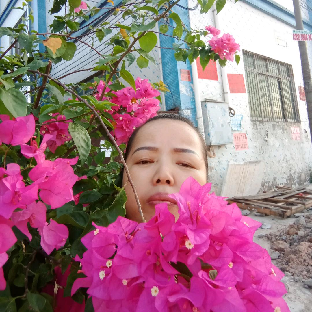 龙细珍