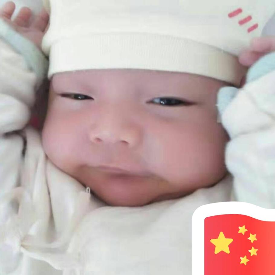 梨家的鹰