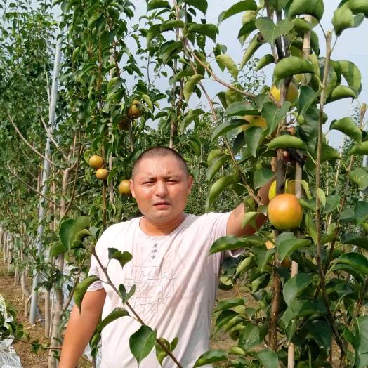 泰安高新区众森园艺场