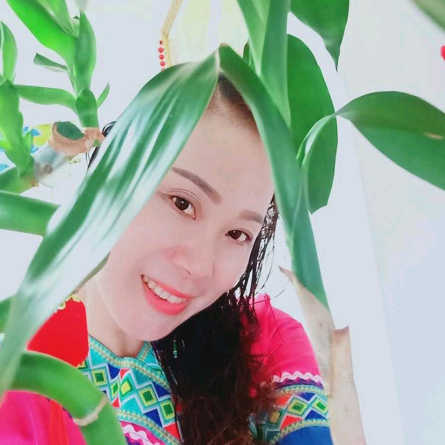 陈伊