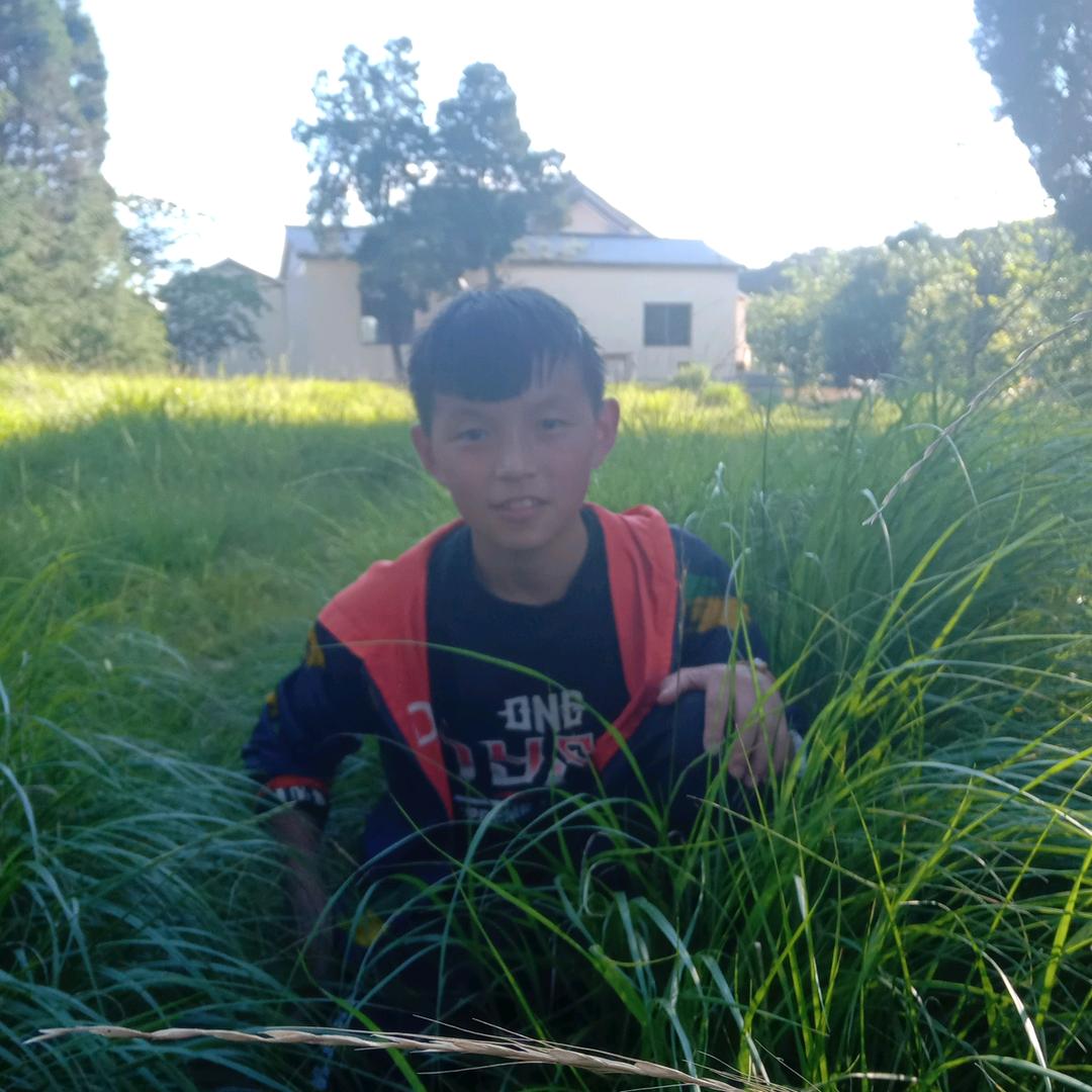 一切淡定(￣o￣) . z Z